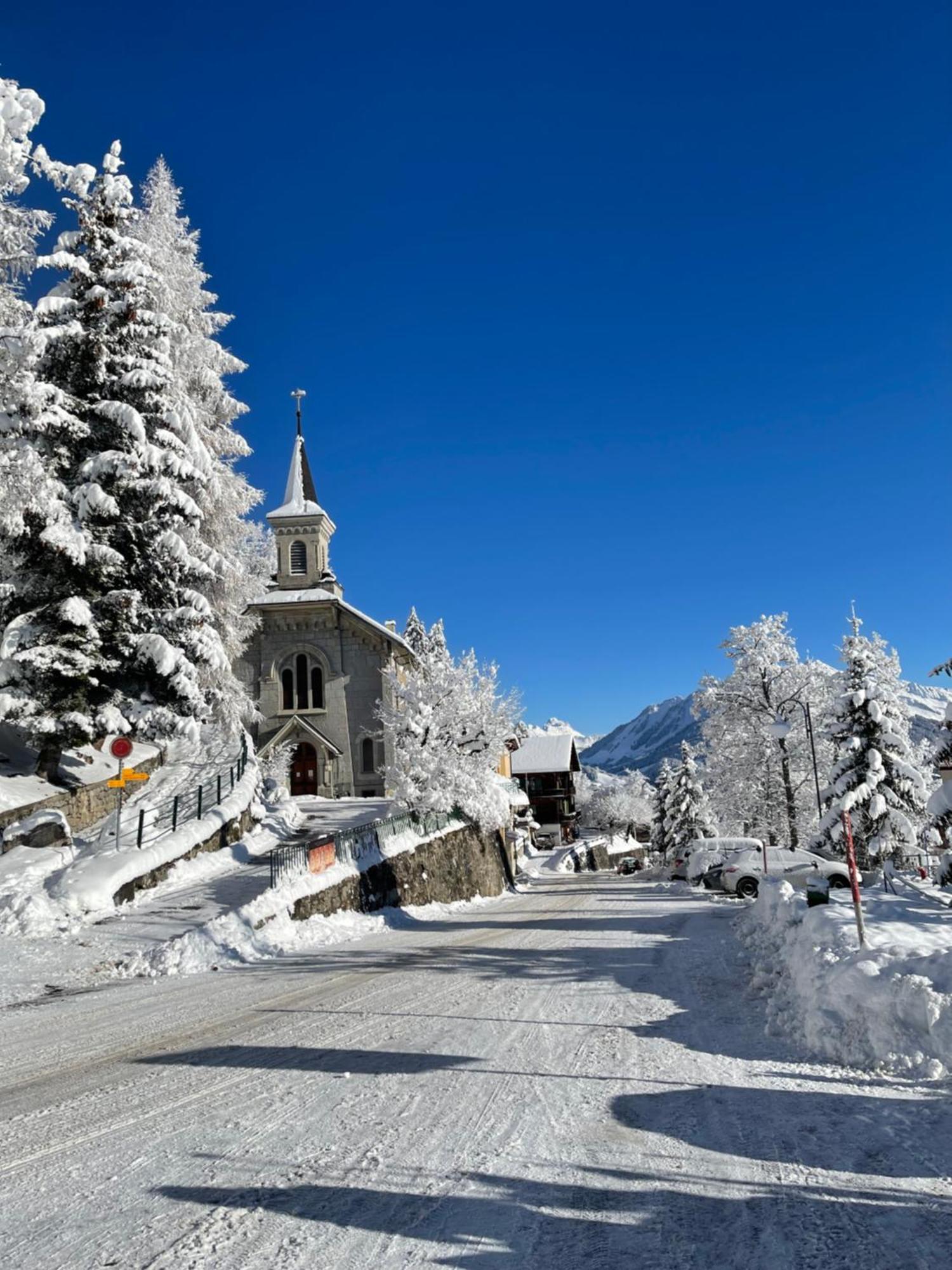 Charmant Appartement Au Vagabond Leysin Exteriér fotografie